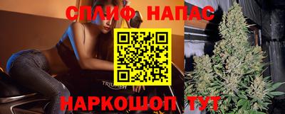 Альфа ПВП Славгород