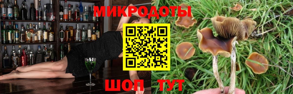 Галлюциногенные грибы Cubensis  Вход с VPN  Псилоцибиновые грибы мицелий  Кемерово 