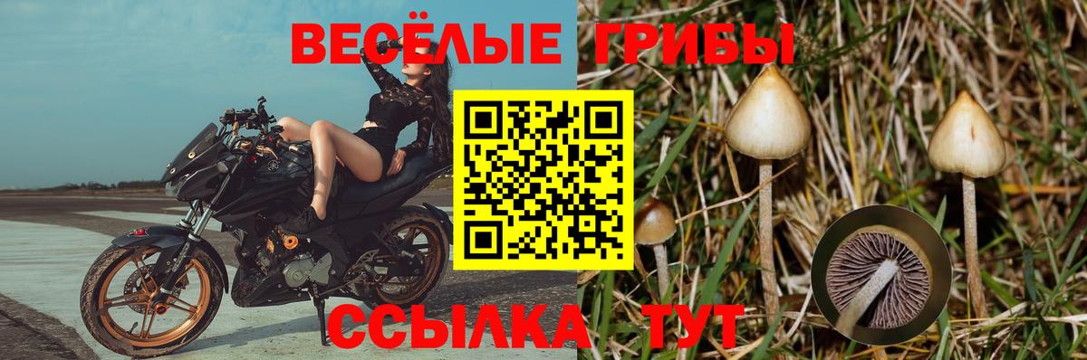 Псилоцибиновые грибы Magic Shrooms Кемерово